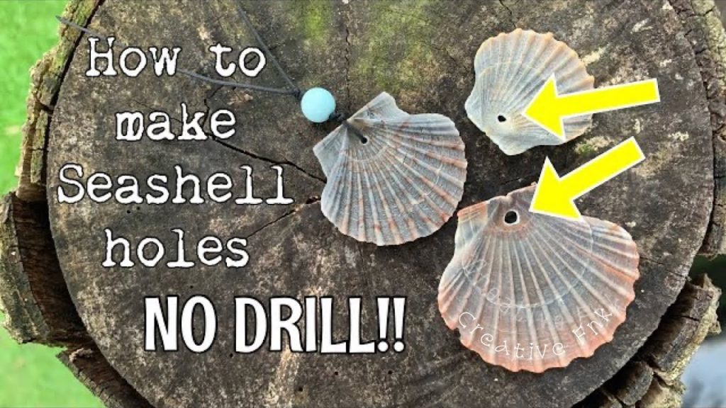 Diy Guide: How To Drill Holes In Seashells – Essential Tips