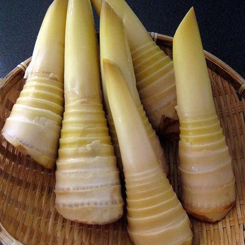 Quick Guide: How To Prepare Bamboo Shoots At Home